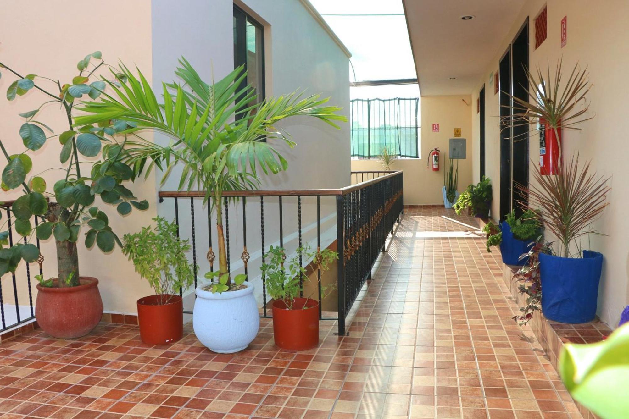 Hotel Casa Pellegrin Merida Exterior photo